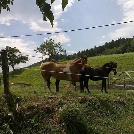 Bed And Breakfast Spelca Pivka Exterior foto