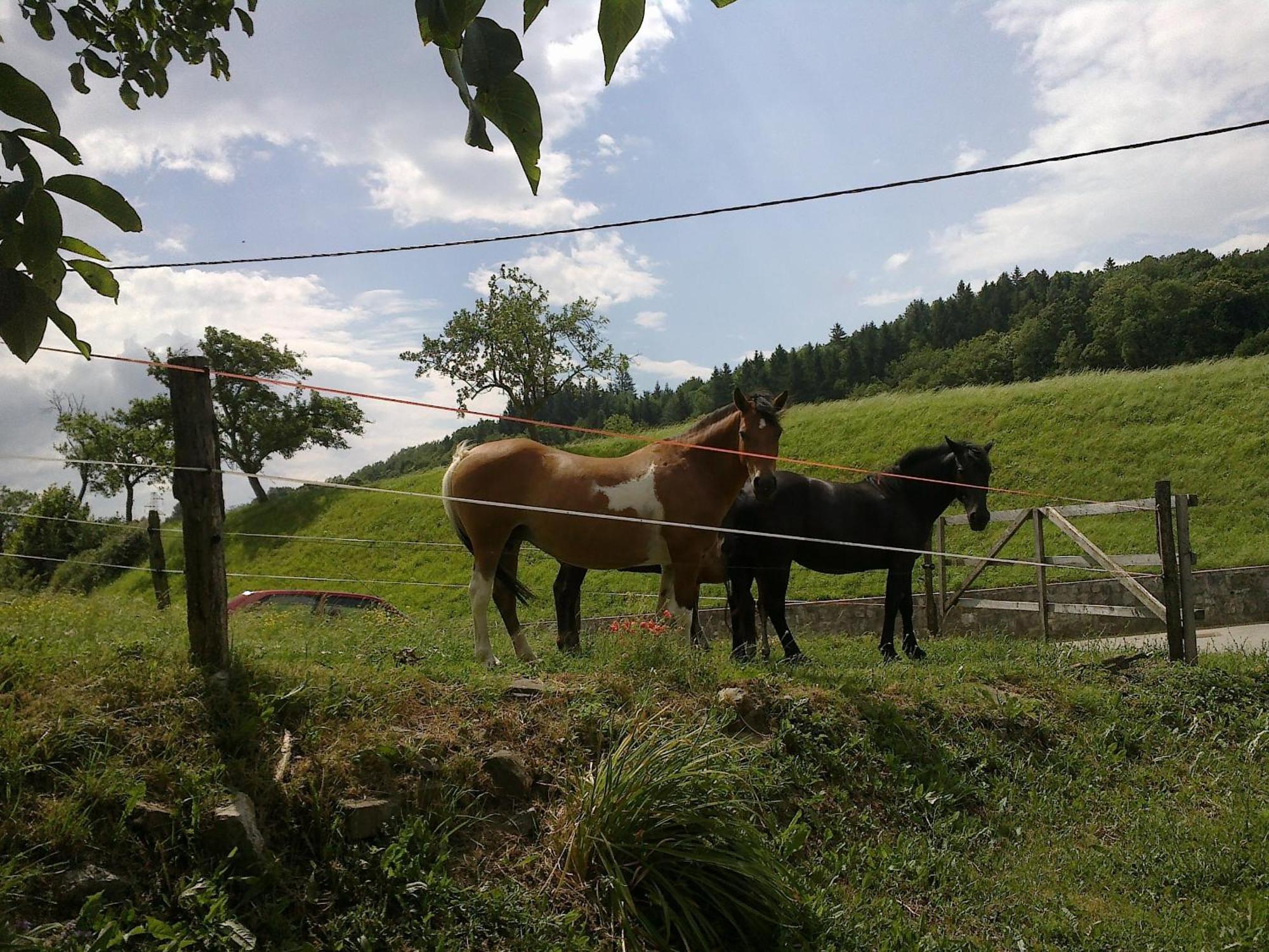 Bed And Breakfast Spelca Pivka Exterior foto